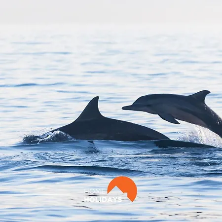 Appartamento #011 T1 Libertos By Holidays Albufeira